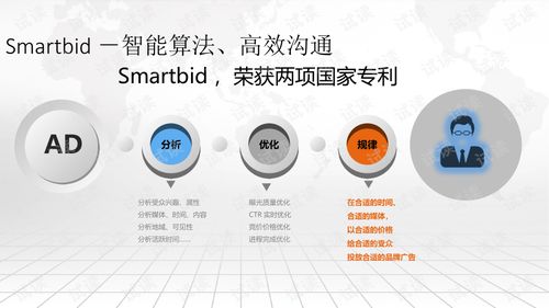 互聯(lián)網(wǎng) 智慧營(yíng)銷大數(shù)據(jù)平臺(tái)建設(shè)方案.ppt